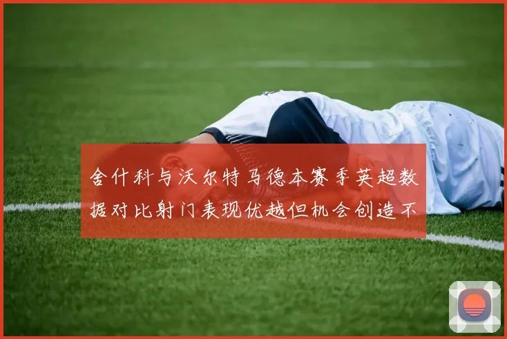 舍什科与沃尔特马德本赛季英超数据对比射门表现优越但机会创造不足