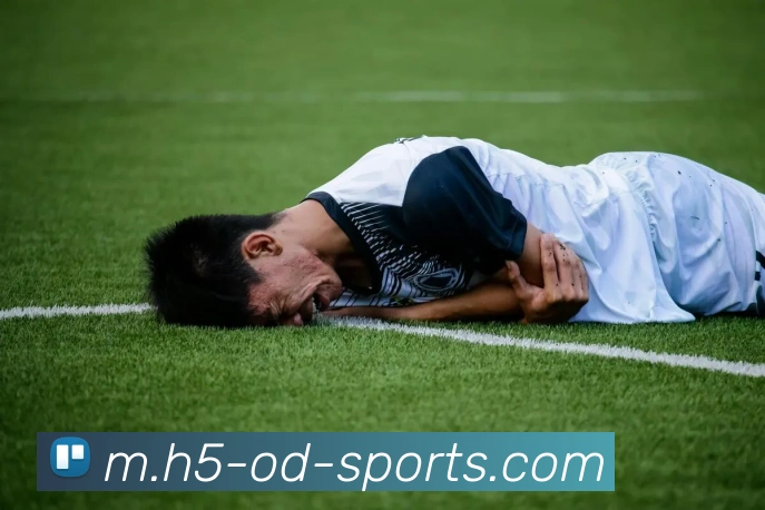 OD体育APP 封面图